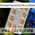 Kamagra Seulement De La Gelée cialis3